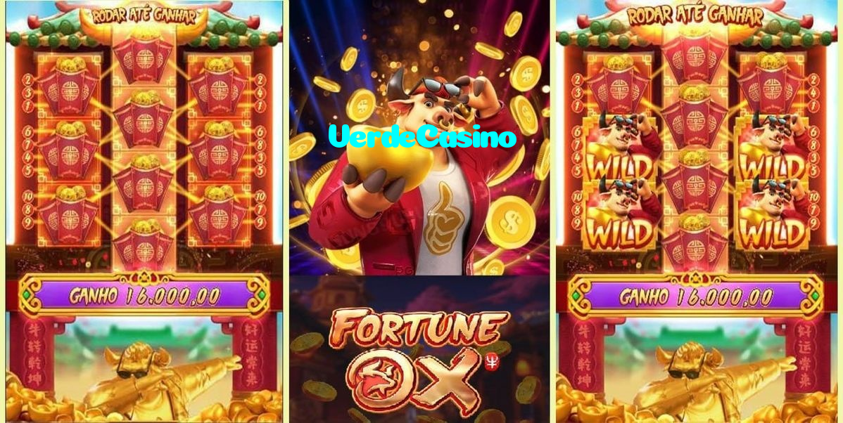available types of VerdeCasino bet including pre-match live express and system bets